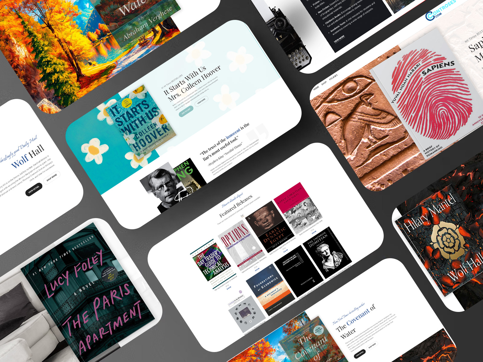 Controses WordPress website preview